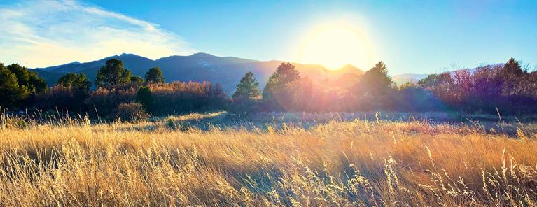 Image of blue sunny skies, mountain range in the distance with trees and yellow/golden native grass on the ground in the forefront. 